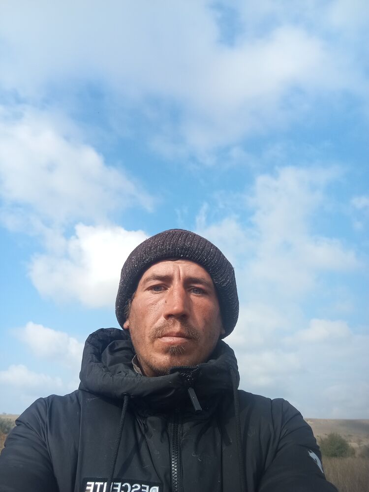  47233449  , 36 ,    