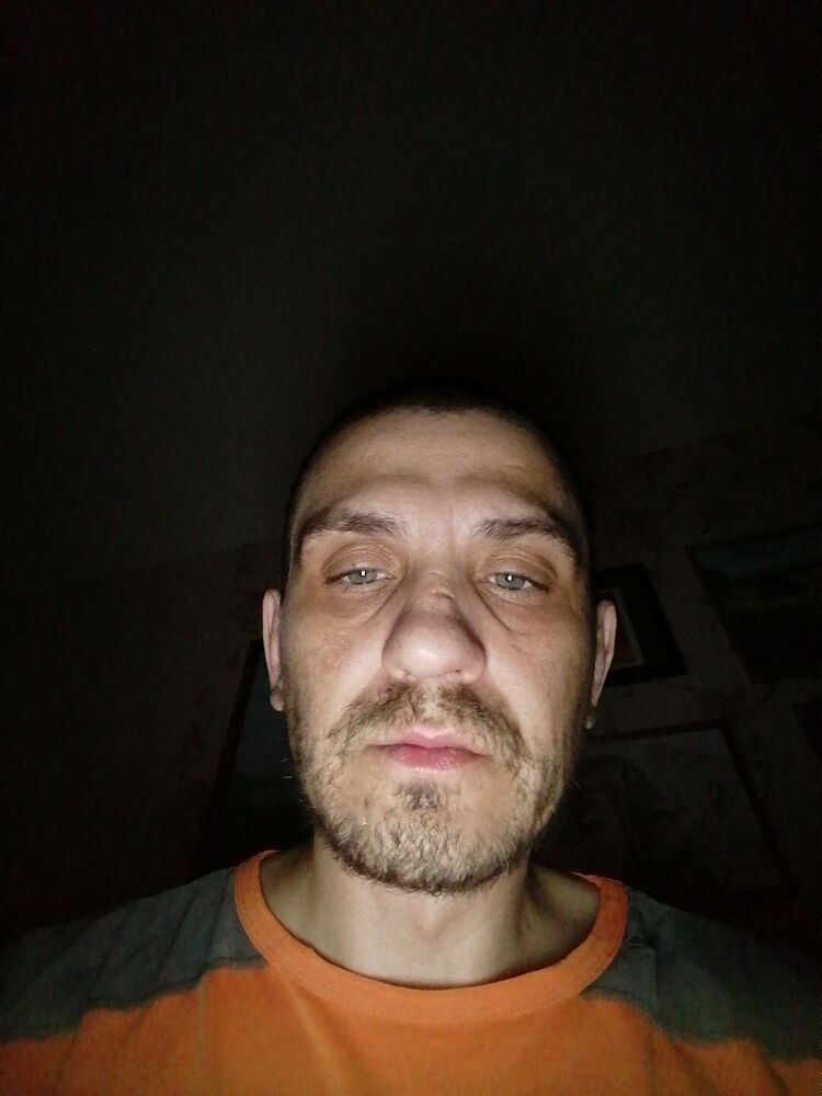  50416379  , 41 ,    -