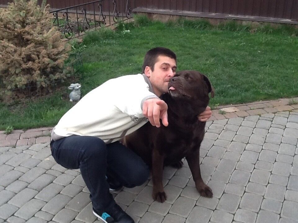  8355839  Shmak, 33 ,    