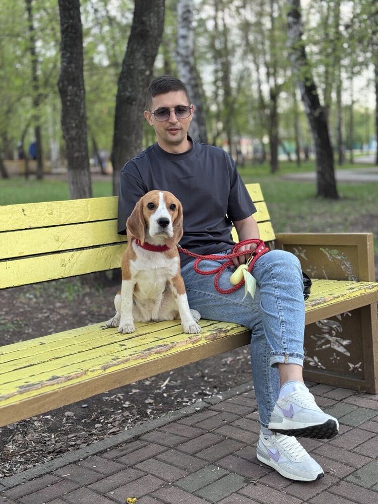 ���� 56025579 ������� �����, 41 ���, ���� ���������� � ���������� ������