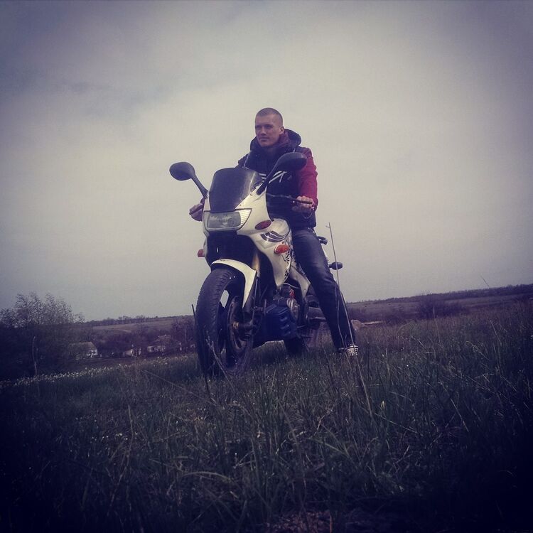  12341039  , 31 ,    