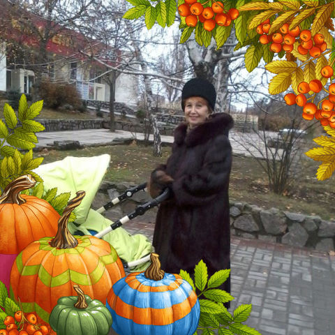 ���� 24583329 ������� �����, 70 ���, ���� ���������� � ����������