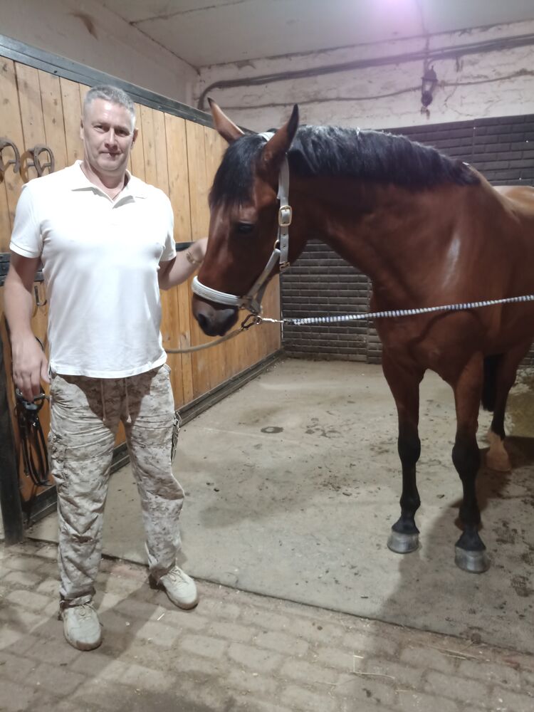 ���� 53476239 ������� ��� ��������, 48 ���, ���� ���������� � ���������������