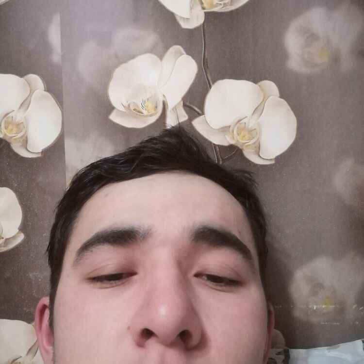  22304019  , 26 ,    