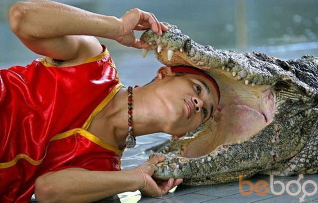 ���������� ���������, ���� ������� CER�I BEL�I, 46 ���, ������������ ��� ������, ����� � ���������, c�������� ���������