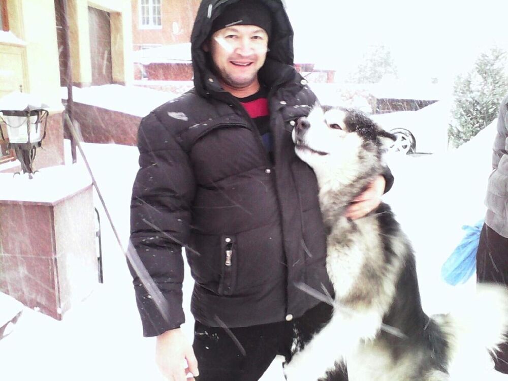 ���������� ������ ��������, ���� ������� �����, 51 ���, ������������ ��� ������, ����� � ���������, c�������� ���������