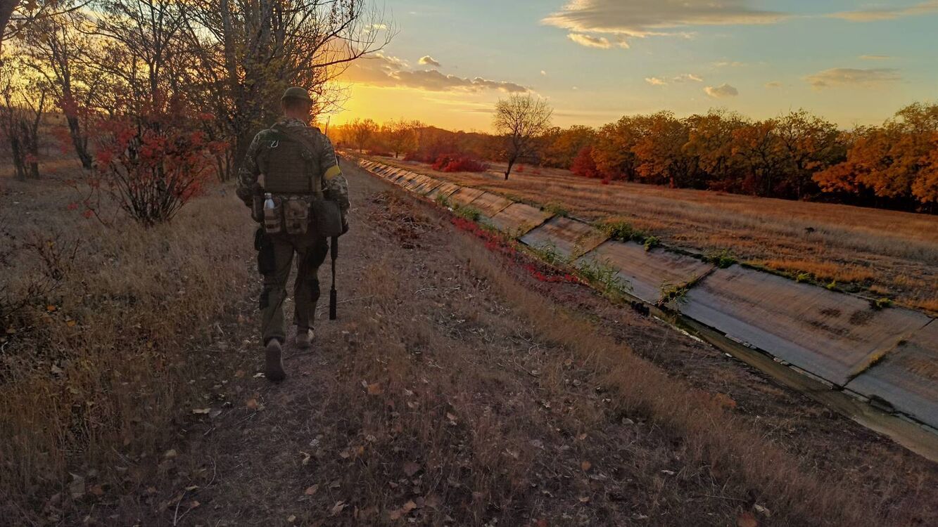 ���������� ������, ���� ������� ����, 43 ����, ������������ ��� ������, ����� � ���������, c�������� ���������, ���������