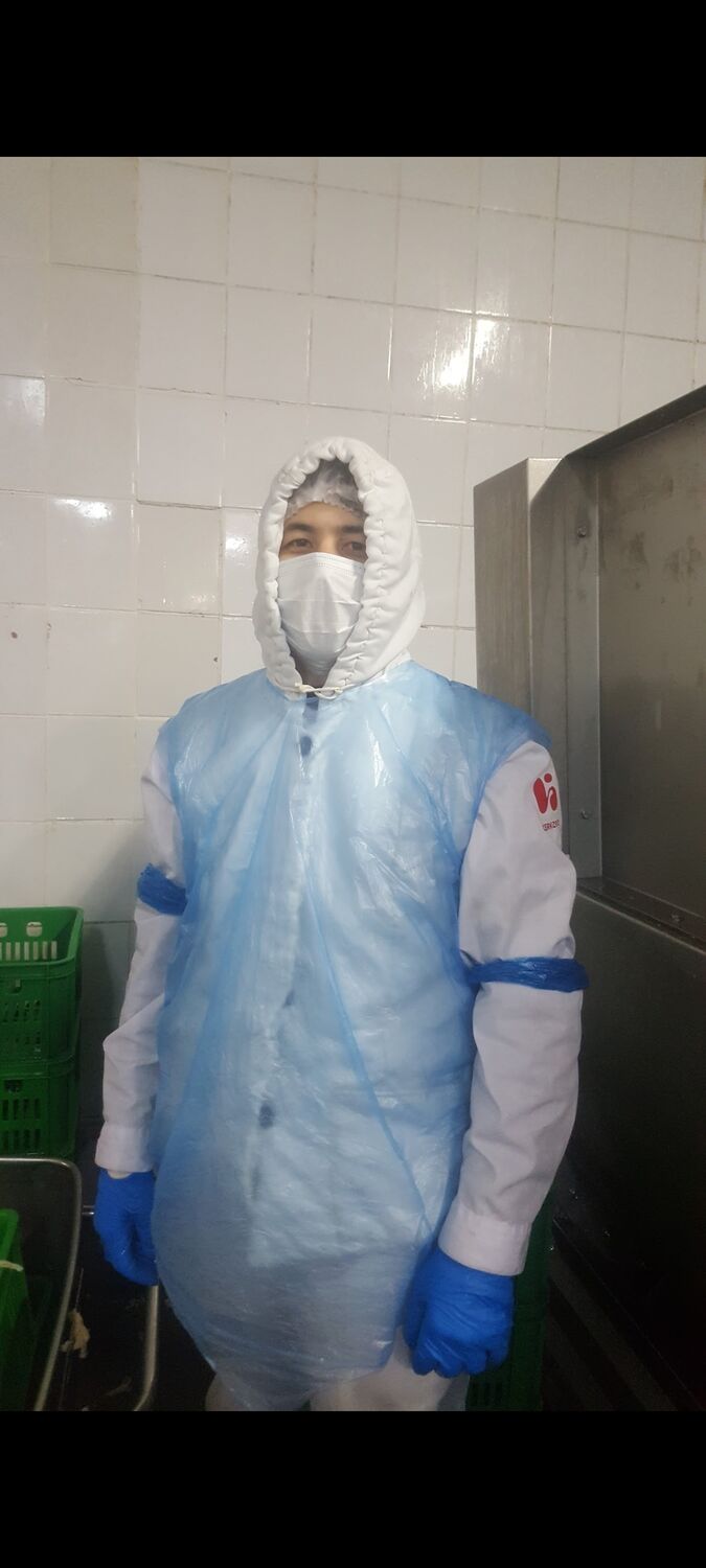 ���� 33864559 ������� �����, 31 ���, ���� ���������� � ����