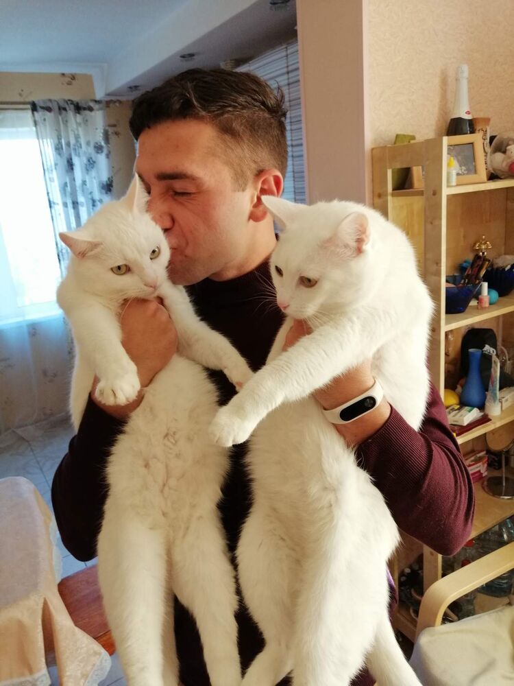 ���� 28196509 ������� ���������, 30 ���, ���� ���������� � ����-����������