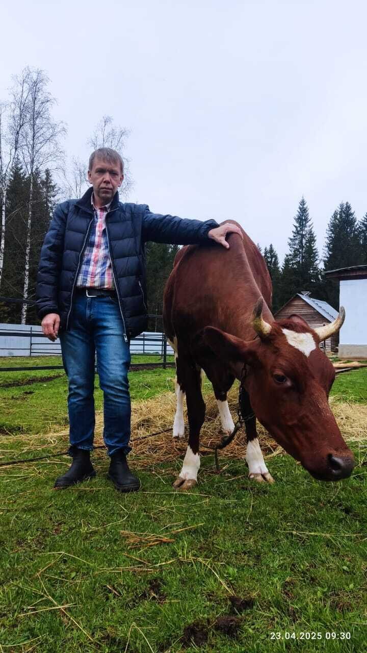   ,   , 44 ,     , 