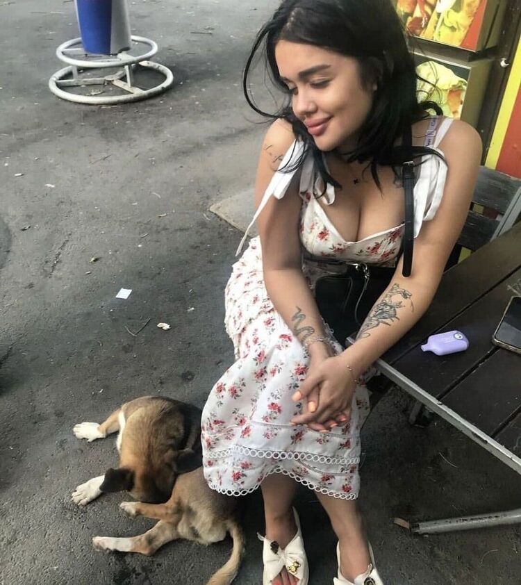 ���������� ������, ���� ������� ����, 24 ����, ������������ ��� ����� � ���������, c�������� ���������