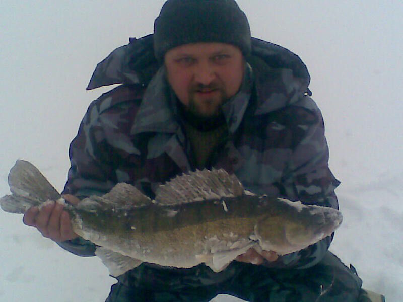  ,   Popov, 53 ,   ,   , c 