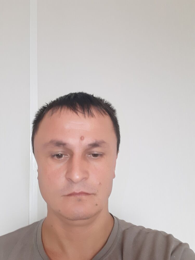  45425119      , 38 ,    -
