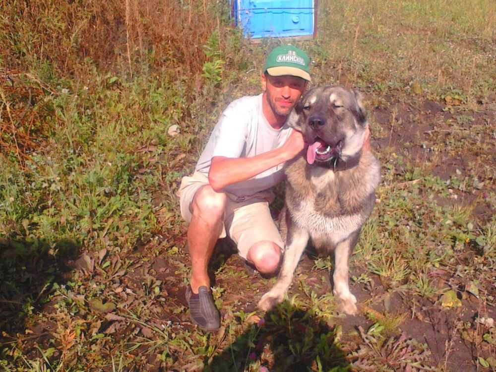 ���������� ������������, ���� ������� ������, 48 ���, ������������ ��� ������