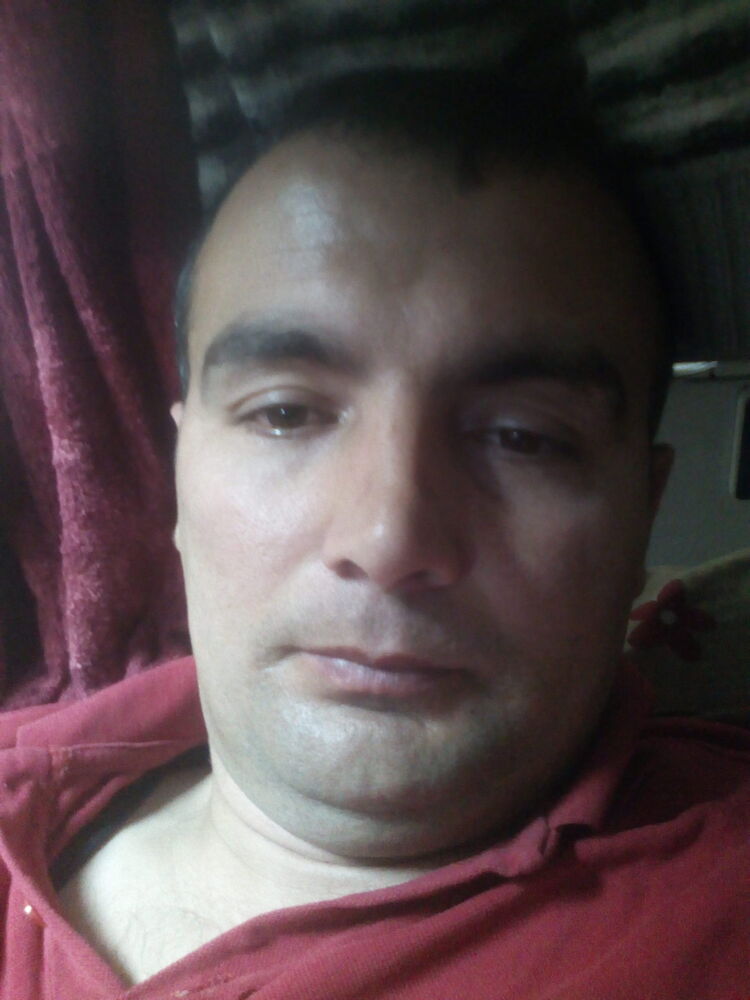 ���� 11553489 ������� Navruz, 40 ���, ���� ���������� � �������