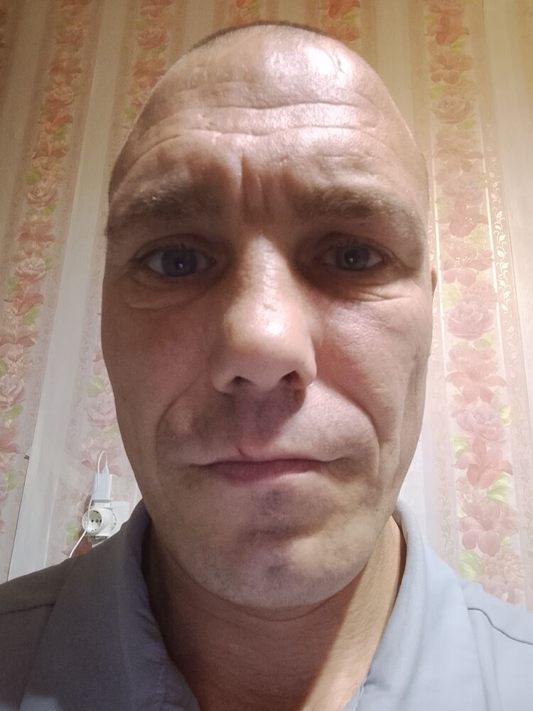  54136569  , 41 ,    -