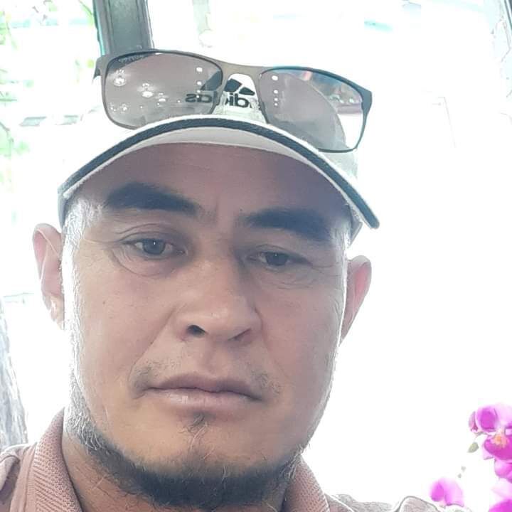 ���� 23101589 ������� Talant, 48 ���, ���� ���������� � �������