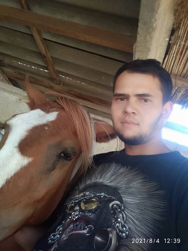 ���� 28436879 ������� �����, 26 ���, ���� ���������� � �������