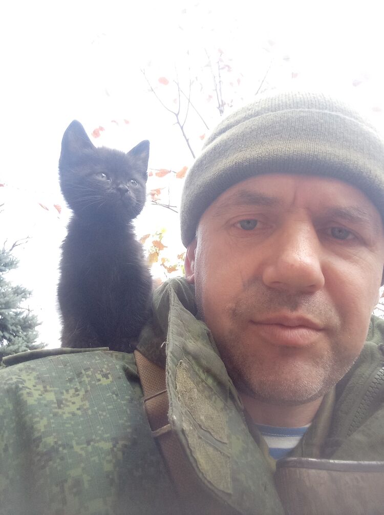 ���� 30441299 ������� ����, 46 ���, ���� ���������� � �������