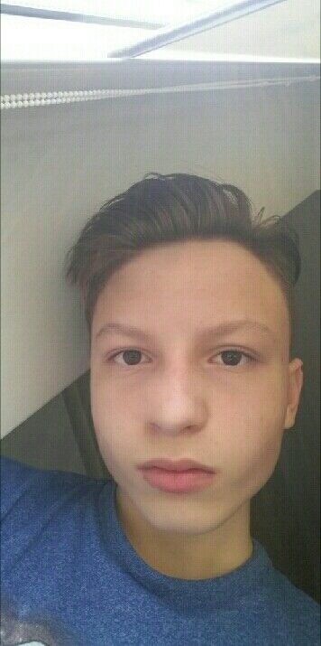  20336829  , 23 ,    