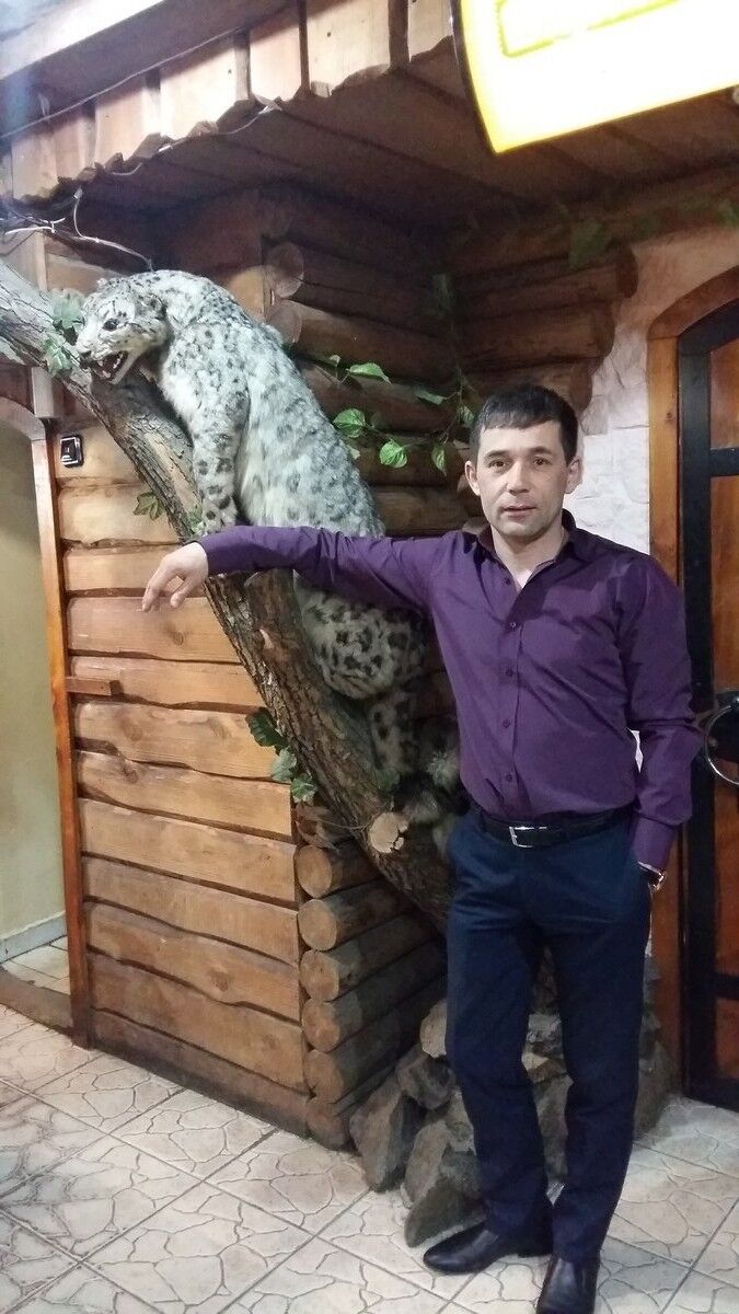 ���������� ��������, ���� ������� ������, 50 ���, ������������ ��� ������, ����� � ���������, c�������� ���������