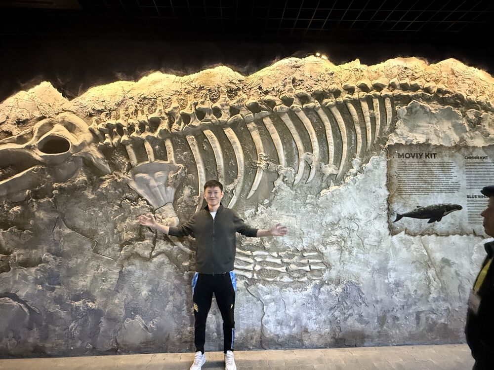 ���� 56107649 ������� �������, 27 ���, ���� ���������� � ���