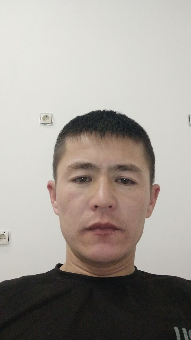  35336079  , 33 ,    