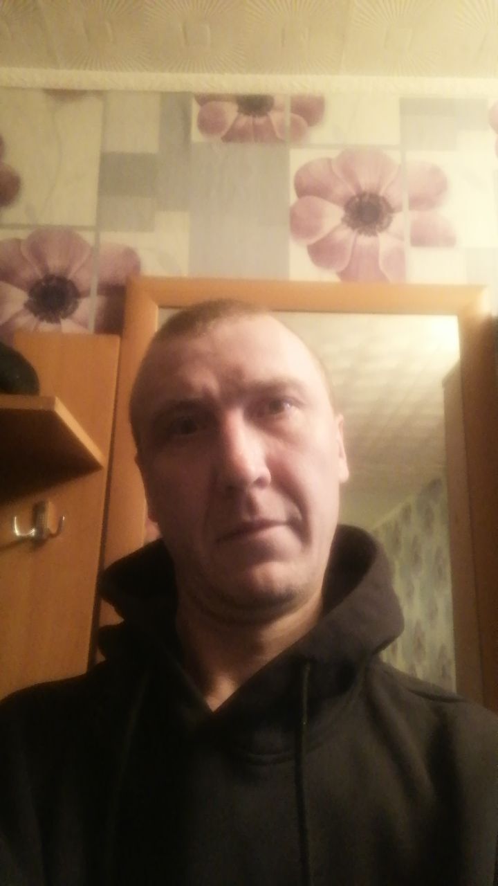  50092379  , 38 ,    