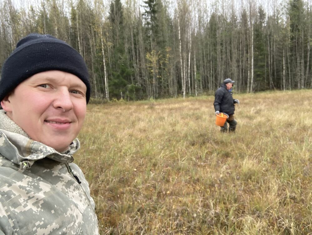  38666479  , 37 ,    -