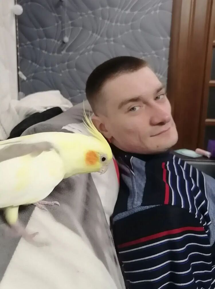 ���� 56193729 ������� �����, 26 ���, ���� ���������� � ���