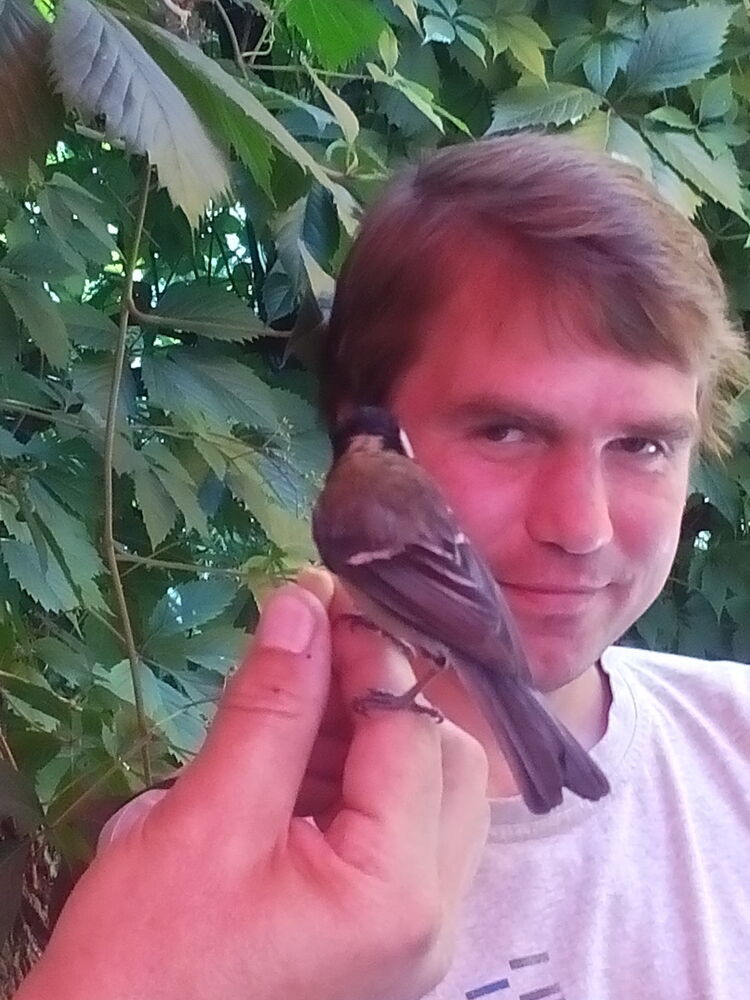 ���� 10825429 ������� ���������, 77 ���, ���� ���������� � ���������