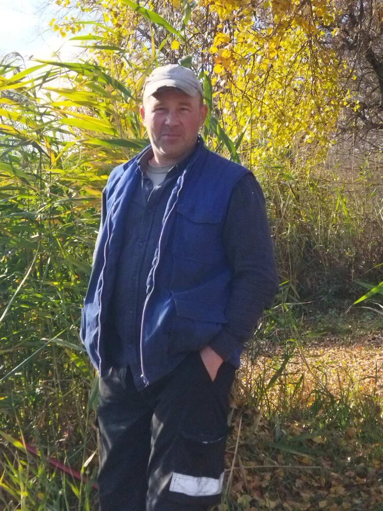 ���� 55688529 ������� �����, 52 ����, ���� ���������� � ���������