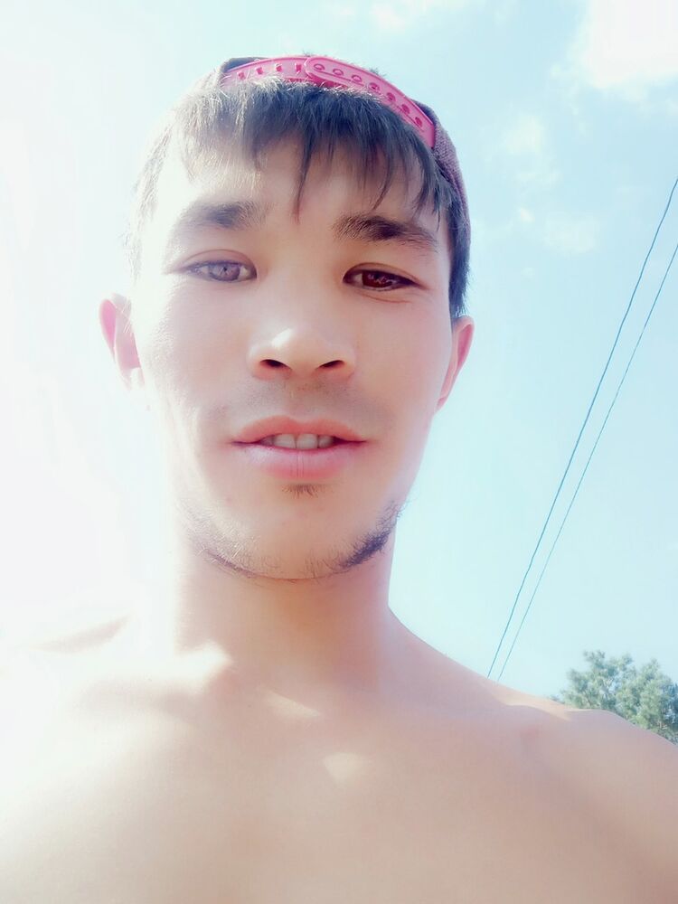  18686309  , 29 ,    