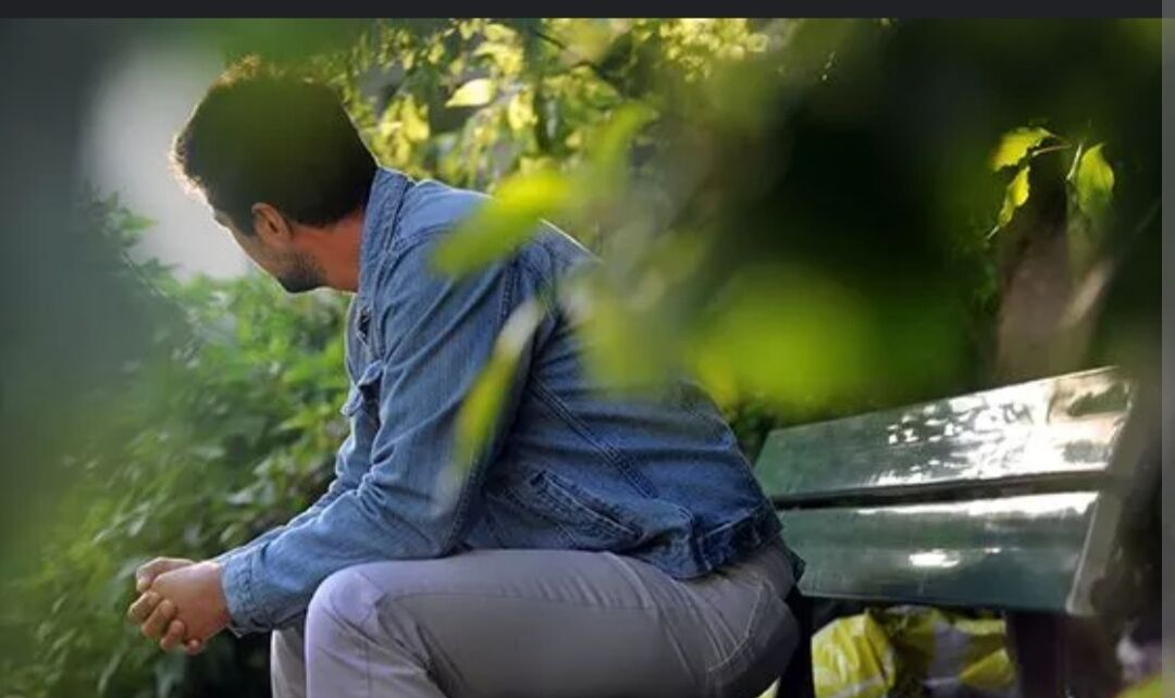 ���� 29966379 ������� �������, 48 ���, ���� ���������� � ��������