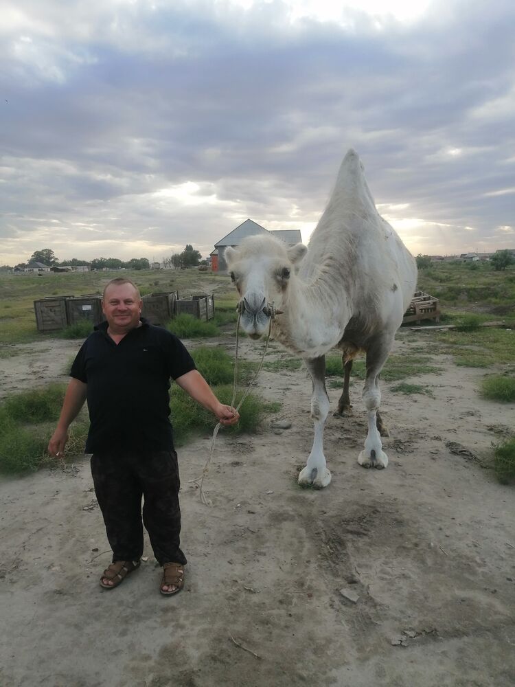  ,   , 49 ,   ,   