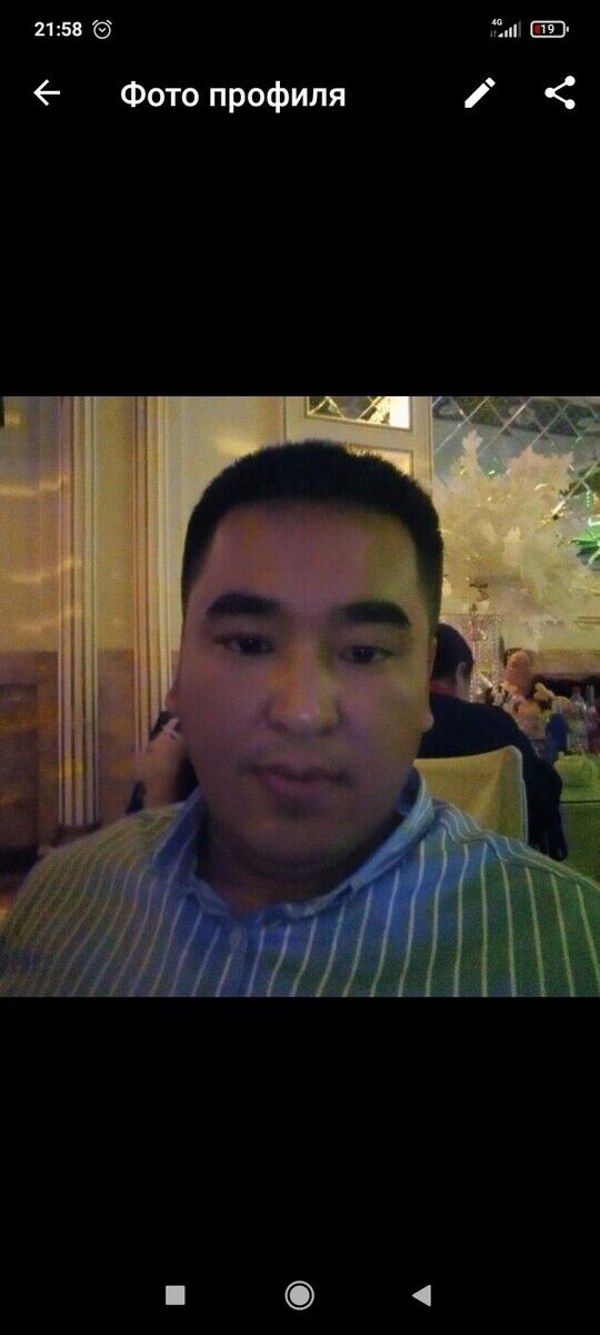  -,   Zamir, 41 ,   ,   , c 