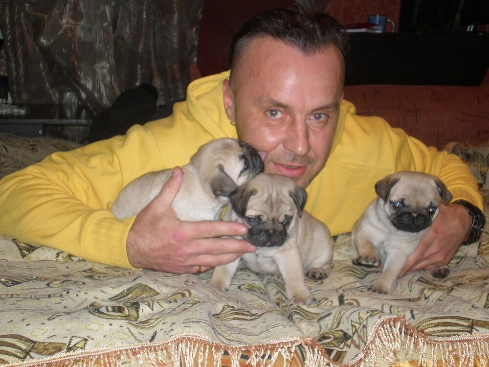  15919529  Sergey, 57 ,    