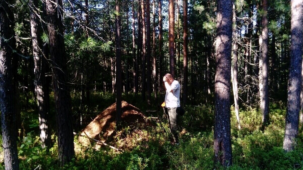 ���������� ���������, ���� ������� �������, 57 ���, ������������ ��� ������, ����� � ���������, c�������� ���������