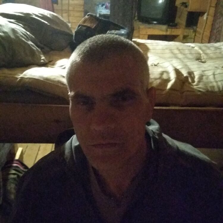  20217429  , 53 ,    