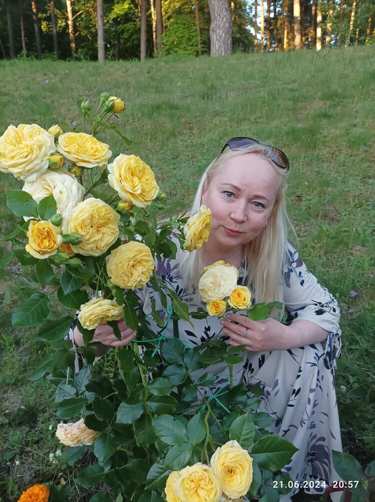 ���������� �����, ���� ������� ������, 52 ����, ������������ ��� c�������� ���������