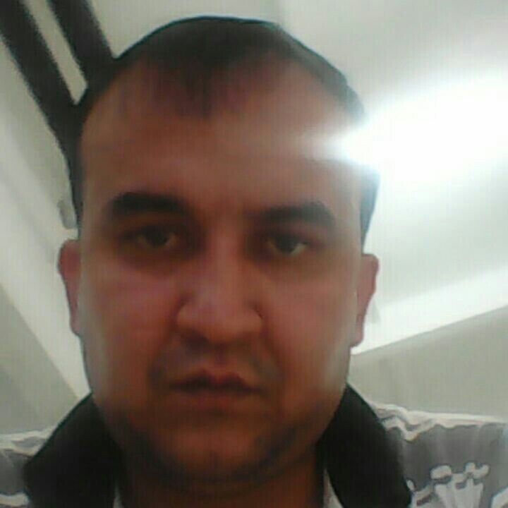 ���� 34636269 ������� ������, 38 ���, ���� ���������� � ������