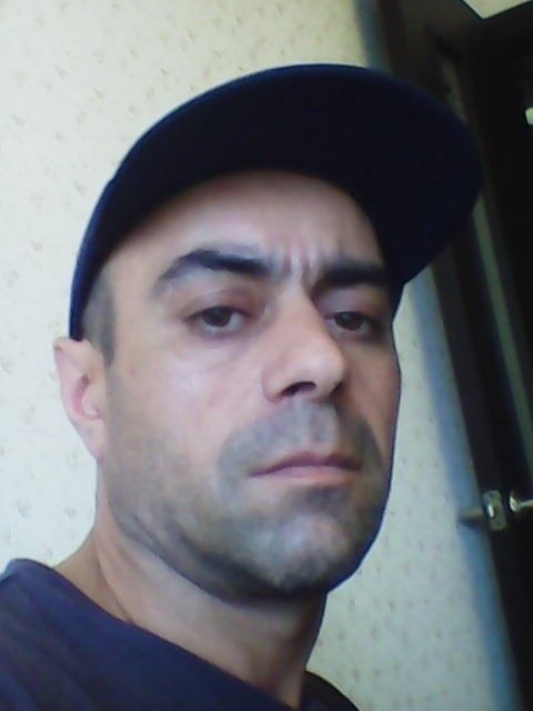  -,   , 49 ,   ,   , c 
