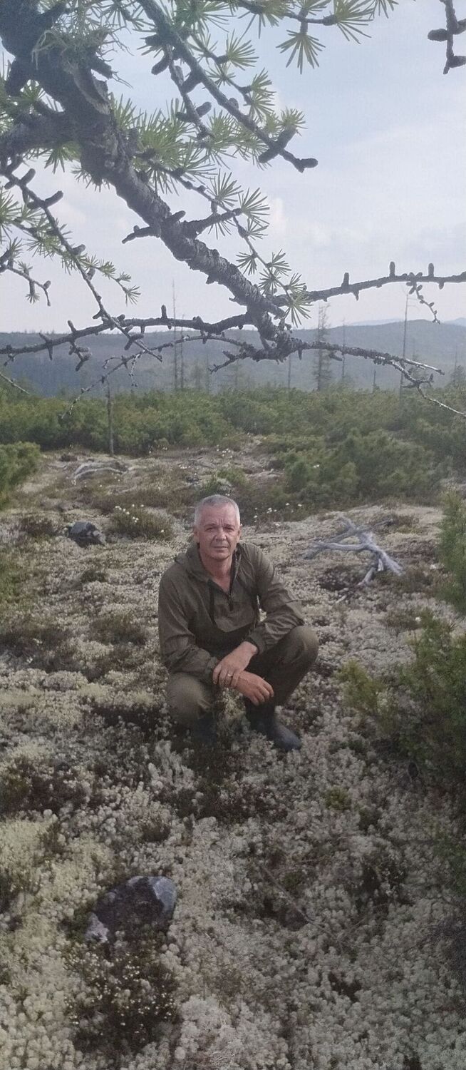 ���� 55851349 ������� �������, 44 ����, ���� ���������� � �������