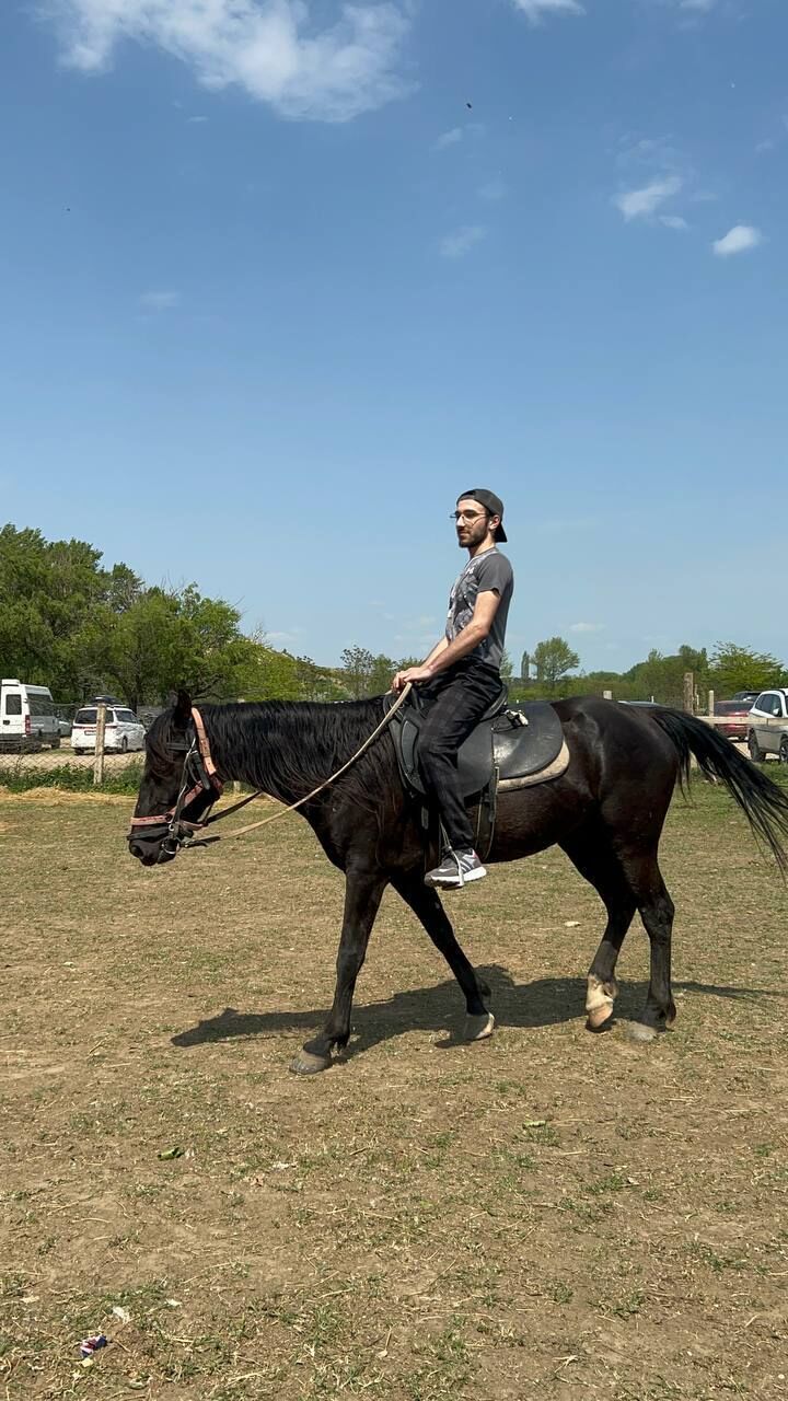 ���� 44126939 ����� Amin, 21 ���, ���� ���������� � ���������