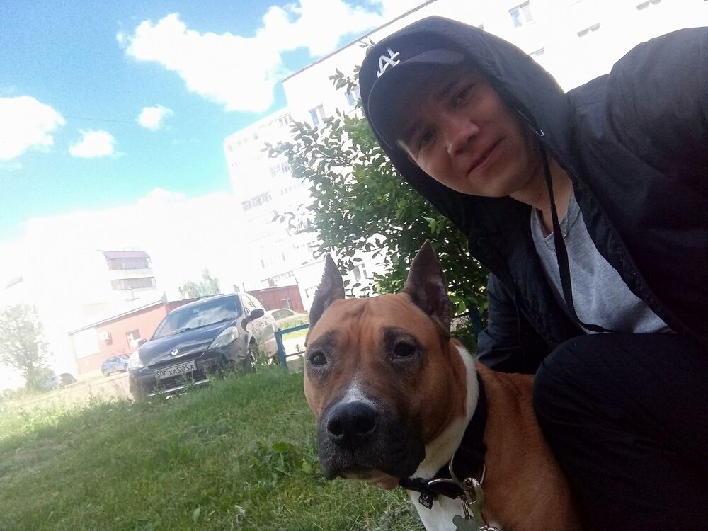 ���� 19485269 ������� Ed, 33 ����, ���� ���������� � �����������