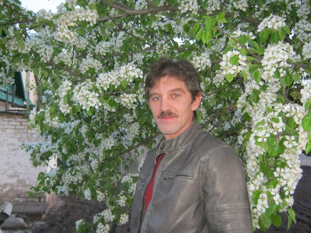 ���������� ����, ���� ������� Lek, 50 ���, ������������ ��� ������, ����� � ���������, c�������� ���������