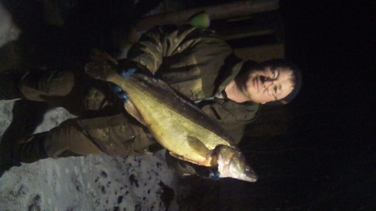 ���������� ���������, ���� ������� �����, 43 ����, ������������ ��� ������, ����� � ���������, c�������� ���������