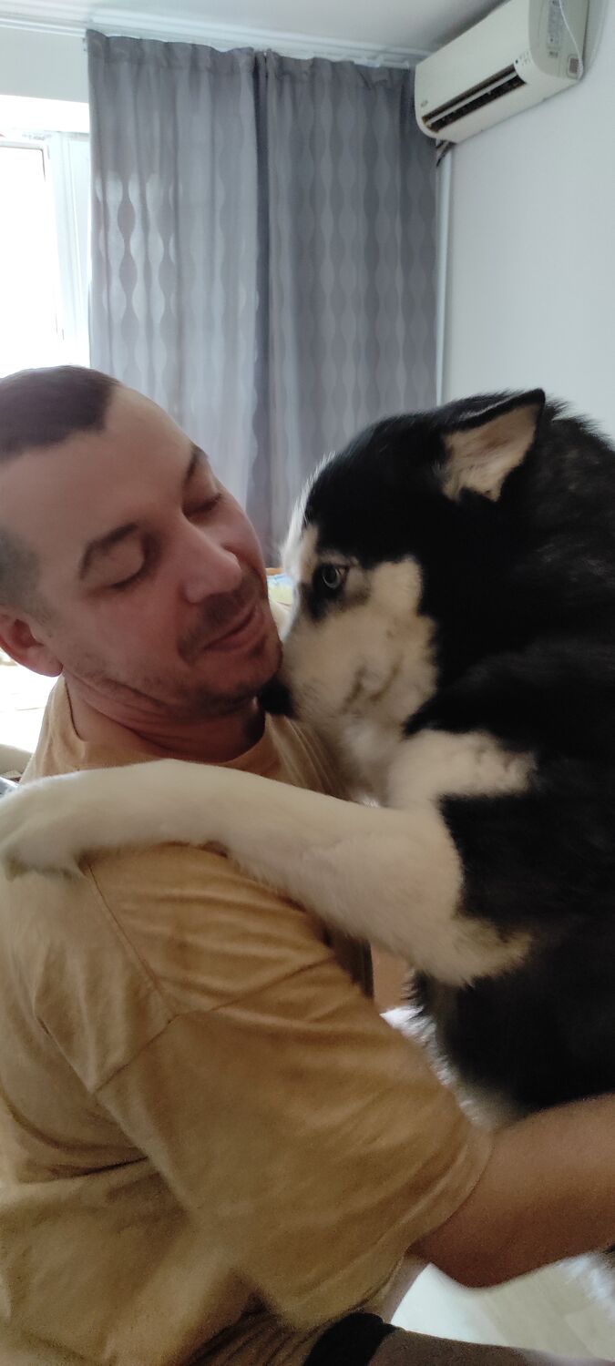 ���������� ������, ���� ������� ����, 46 ���, ������������ ��� ������, ����� � ���������