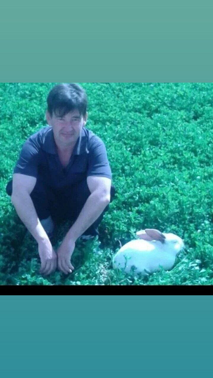 ���������� �������, ���� ������� ������, 46 ���, ������������ ��� ������, ����� � ���������