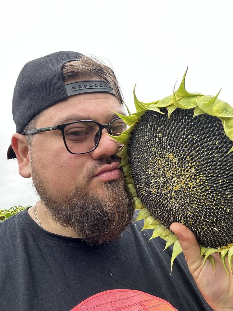 ���������� �������, ���� ������� ����, 37 ���, ������������ ��� ������, ����� � ���������